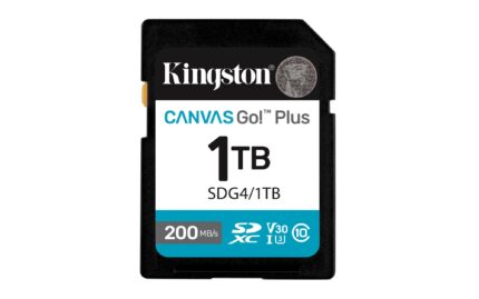 Kingston Memory Sdxc 1Tb Uhs-I/Sdg4/1Tb