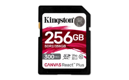 Kingston Memory Sdxc 256Gb C10/Sdr2/256Gb