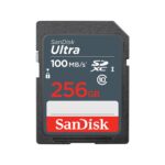 Sandisk Memory Sdxc 256Gb Uhs-I/Sdsdunr-256G-Gn3In