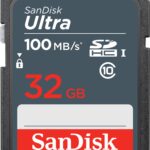 Sandisk Memory Sdhc 32Gb Uhs-I/Sdsdunr-032G-Gn3In