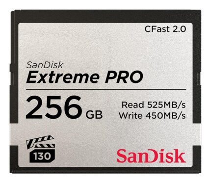Sandisk Memory Compact Flash 256Gb/Sdcfsp-256G-G46D