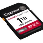 Kingston Memory Sdxc 1Tb Uhs-Ii/Sdr2V6/1Tb