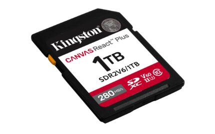 Kingston Memory Sdxc 1Tb Uhs-Ii/Sdr2V6/1Tb