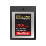 Sandisk Memory Compact Flash 256Gb/Sdcfe-256G-Gn4Nn