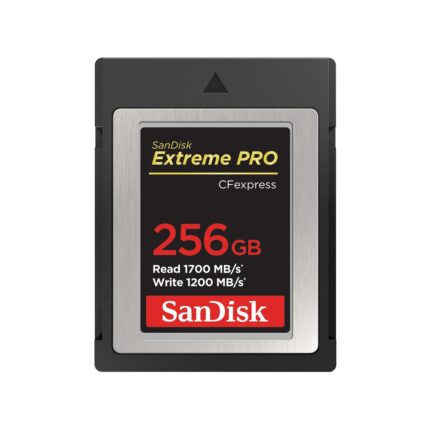 Sandisk Memory Compact Flash 256Gb/Sdcfe-256G-Gn4Nn