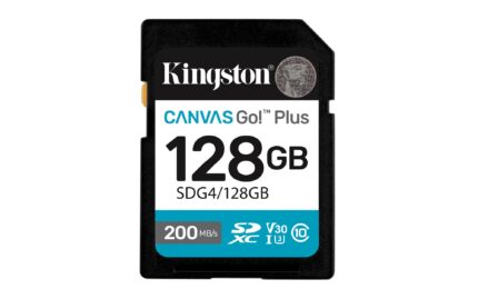 Kingston Memory Sdxc 128Gb Uhs-I/Sdg4/128Gb