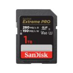 Sandisk Memory Sdxc 1Tb Uhs-Ii/Sdsdxep-1T00-Gn4In