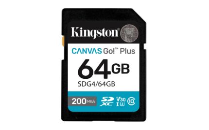 Kingston Memory Sdxc 64Gb Uhs-I/Sdg4/64Gb