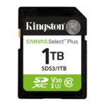 Kingston Memory Sdxc 1Tb Uhs-I/Sds3/1Tb