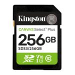 Kingston Memory Sdxc 256Gb Uhs-I/Sds3/256Gb
