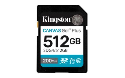 Kingston Memory Sdxc 512Gb Uhs-I/Sdg4/512Gb