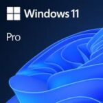 MICROSOFT Software|MICROSOFT|Win 11 Pro GGK 64Bit Eng Intl 1pk DSP ORT OEI DVD|Win Pro|OEM|English|4YR-00316