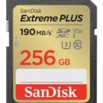 SANDISK MEMORY SDXC 256GB UHS-1/SDSDXWV-256G-GNCIN SANDISK