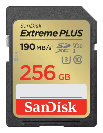 SANDISK MEMORY SDXC 256GB UHS-1/SDSDXWV-256G-GNCIN SANDISK