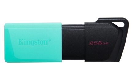 KINGSTON MEMORY DRIVE FLASH USB3.2/256GB DTXM/256GB KINGSTON