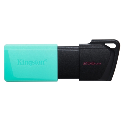 KINGSTON MEMORY DRIVE FLASH USB3.2/256GB DTXM/256GB KINGSTON