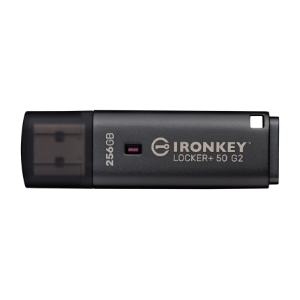 KINGSTON MEMORY DRIVE FLASH USB3.2/256GB IKLP50G2/256GB KINGSTON