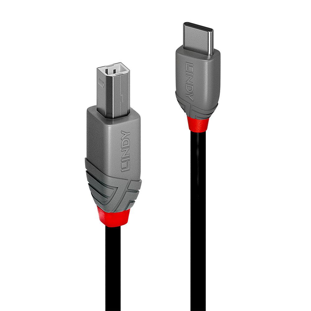 956c1e90-130c-461d-815c-cba80d9a9c73 CABLE USB2 C-B 0.5M/ANTHRA 36940 LINDY - Image 1