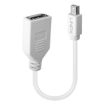 LINDY ADAPTER MINI DP TO DP/0.2M 41021 LINDY