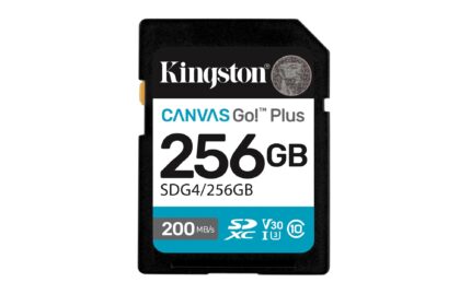 KINGSTON MEMORY SDXC 256GB UHS-I/SDG4/256GB KINGSTON