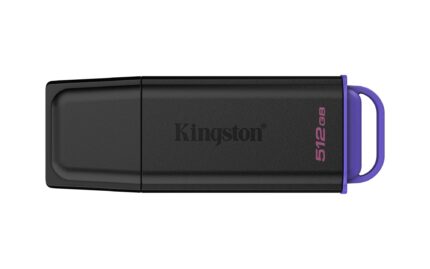 KINGSTON MEMORY DRIVE FLASH USB3.2/512GB DTXG2/512GB KINGSTON