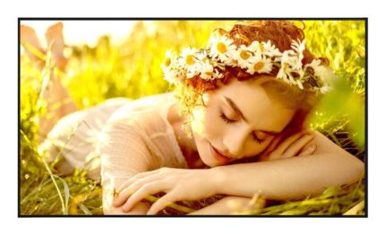 LG DISPLAY LCD 65"/65UL5Q-E LG