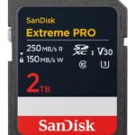 SANDISK MEMORY SDXC 2TB UHS-1/SDSDXXD-2T00-GN4IN SANDISK