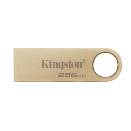 KINGSTON MEMORY DRIVE FLASH USB3.2/256GB DTSE9G3/256GB KINGSTON