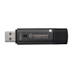 MEMORY DRIVE FLASH USB3.2/256GB IKLP50G2/256GB KINGSTON - Image 2