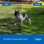 WRL CAMERA SMART H.264/TAPO C425 TP-LINK - Image 9