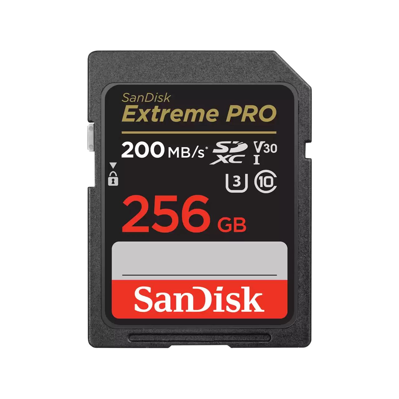 e64950c4-271a-4aab-a6e1-0141d7e9db84 MEMORY SDXC 256GB UHS-1/SDSDXXD-256G-GN4IN SANDISK - Image 1